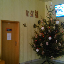 Takto nazdobili žáci ze školního klubu vánoční stromek ve vestibulu školy.